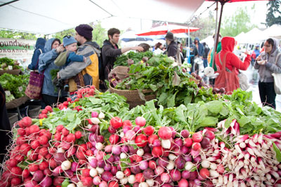 Groundwork Organics, King Farmers Market