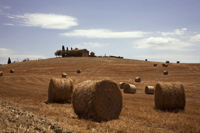 Tuscan Field