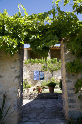 Courtyard at Odile's