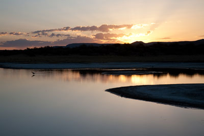 Malheur Refuge